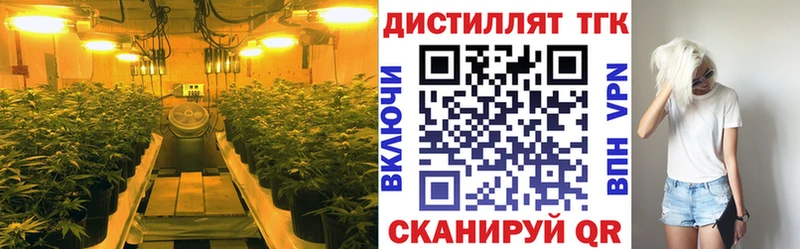 Дистиллят ТГК THC oil Ивангород