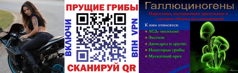 продажа наркотиков  Ивангород  Галлюциногенные грибы MAGIC MUSHROOMS 